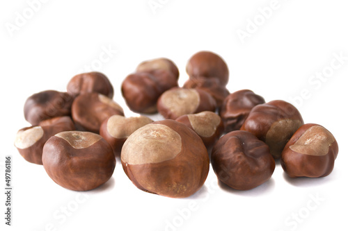 Wallpaper Mural chestnuts isolated on white Torontodigital.ca