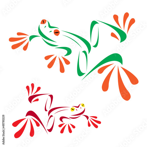 Vector image of an frog on white background