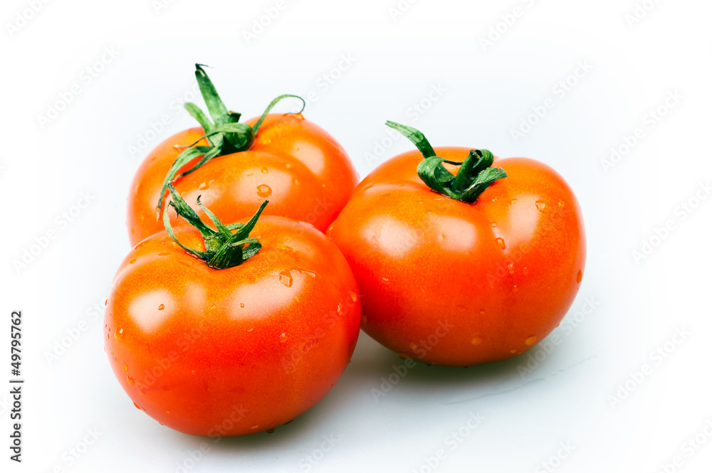 tomatoes isolated on white background tomatoes isolated on white background