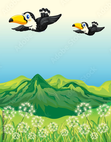 Two birds flying along the mountains