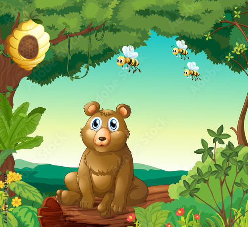 A bear and the three bees in the forest