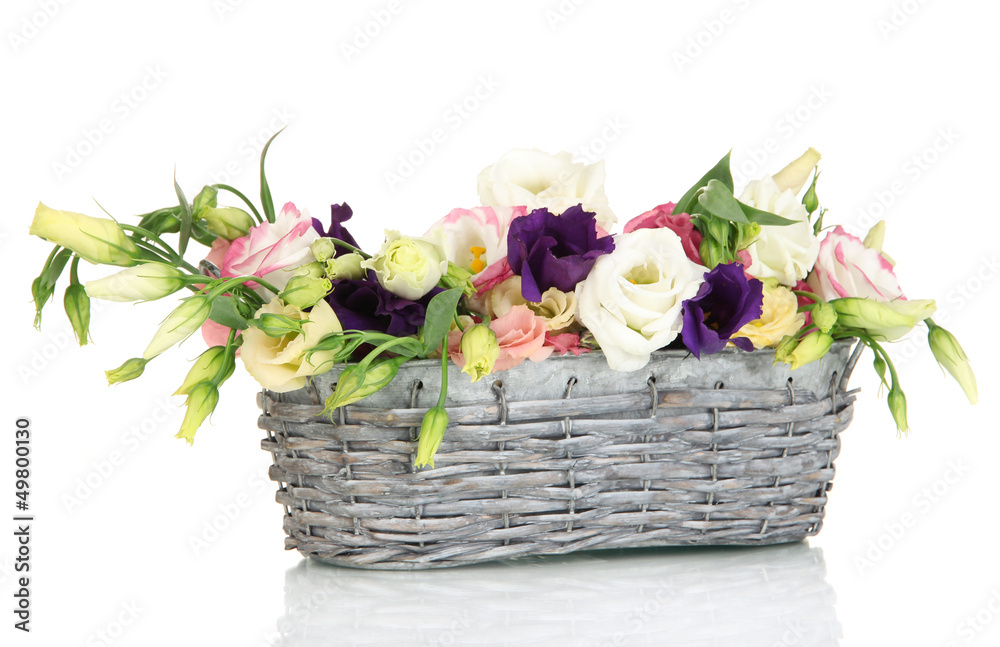 Bouquet of eustoma flowers in wicker basket isolated on white Bouquet of eustoma flowers in wicker basket isolated on white