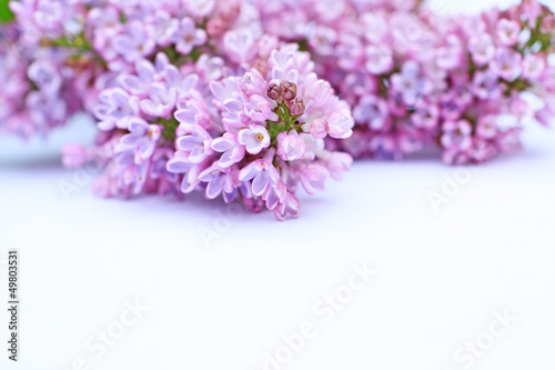 Beautiful lilac background