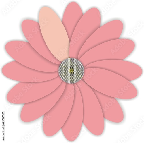 pink flower