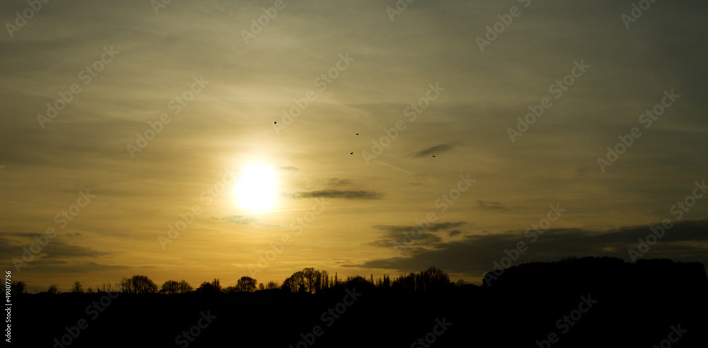countryside scene at sunset