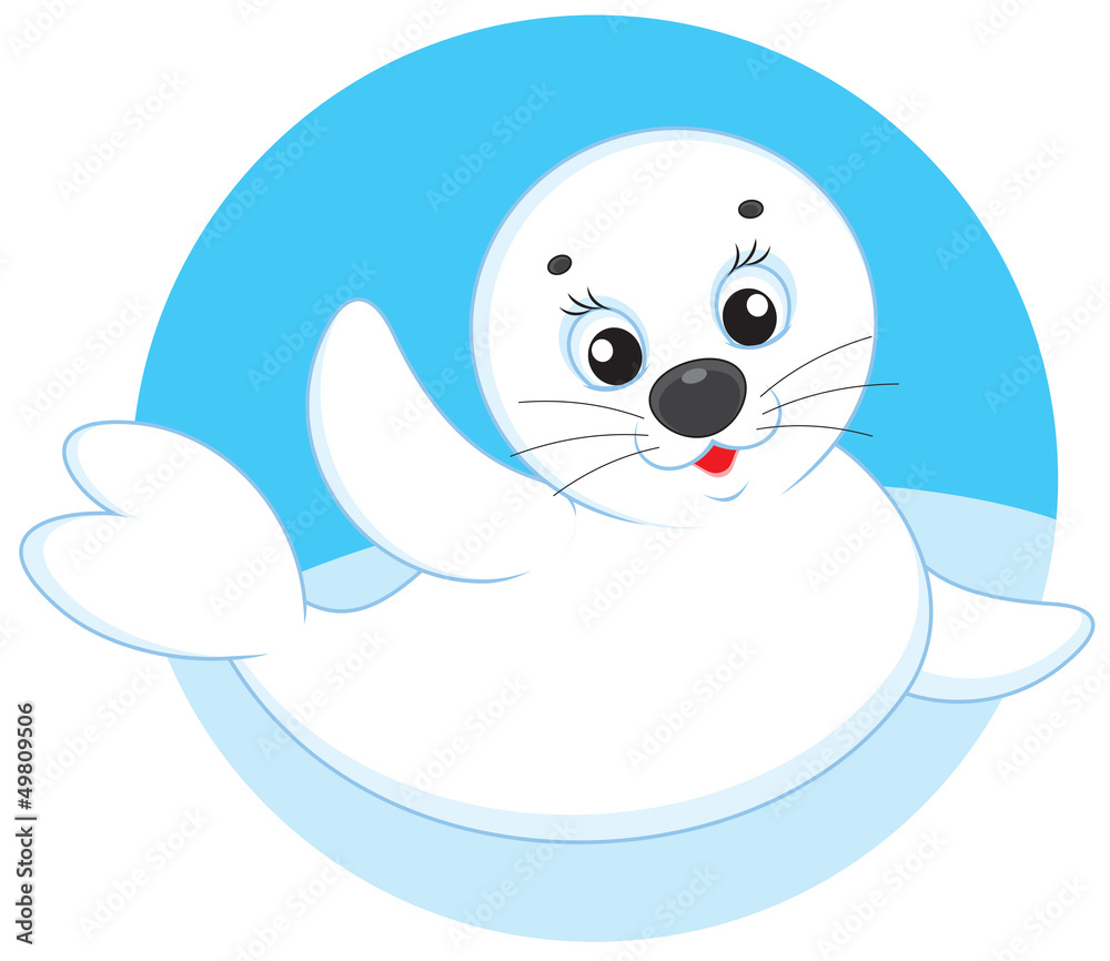 White-coat seal White-coat seal