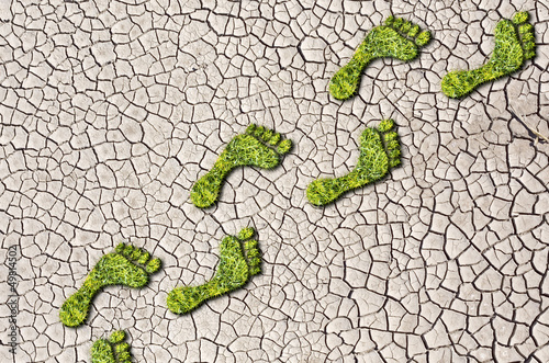 Green grass growing footprints on cracked earth background