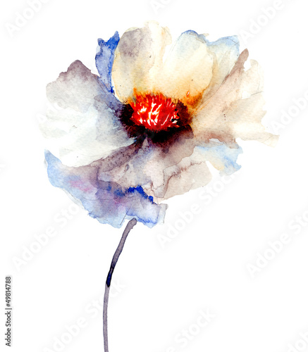 Obraz na płótnie Pączek białego kwiatu