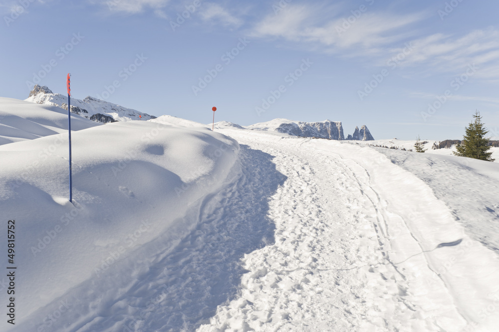 Fototapeta premium Hiking Trail on Seiser Alm, with Sciliar in the background