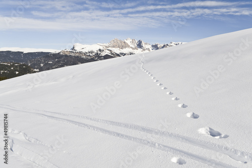 Alpine Skiing Marks on the Seiser Alm