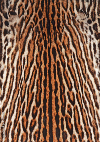 fur coat of ocelot background