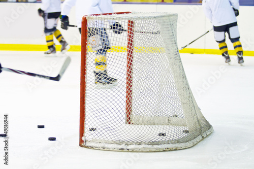 hockey net