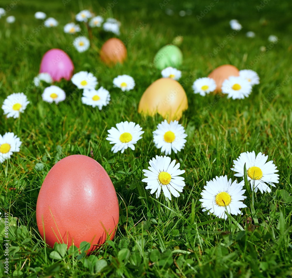 Colorful Easter eggs in a field