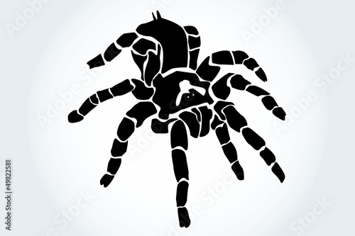 araña