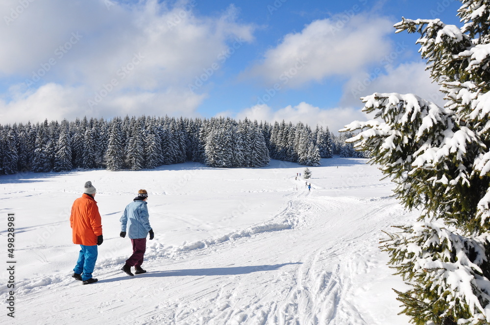 Winterspaziergang im Thüringer Wald