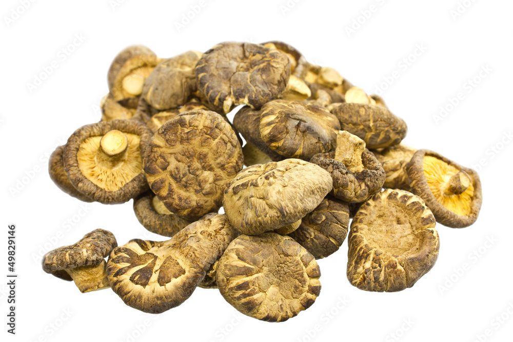 mushrooms mushrooms
