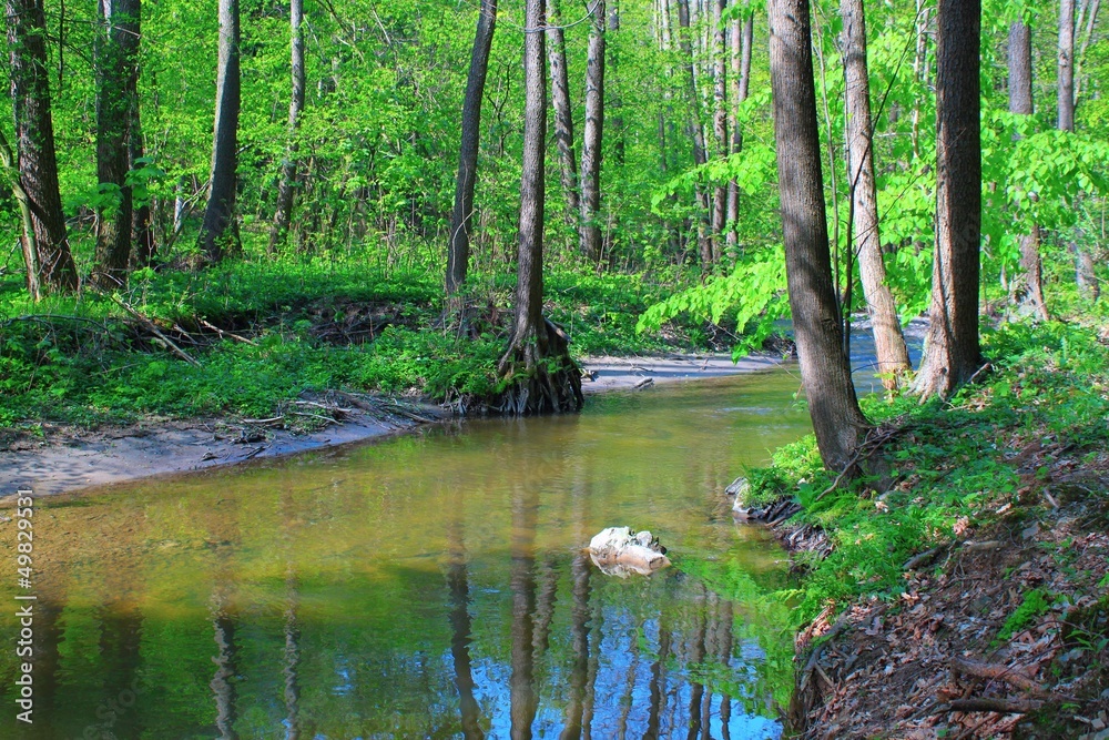Fototapeta premium Beautiful mountain stream in spring forest