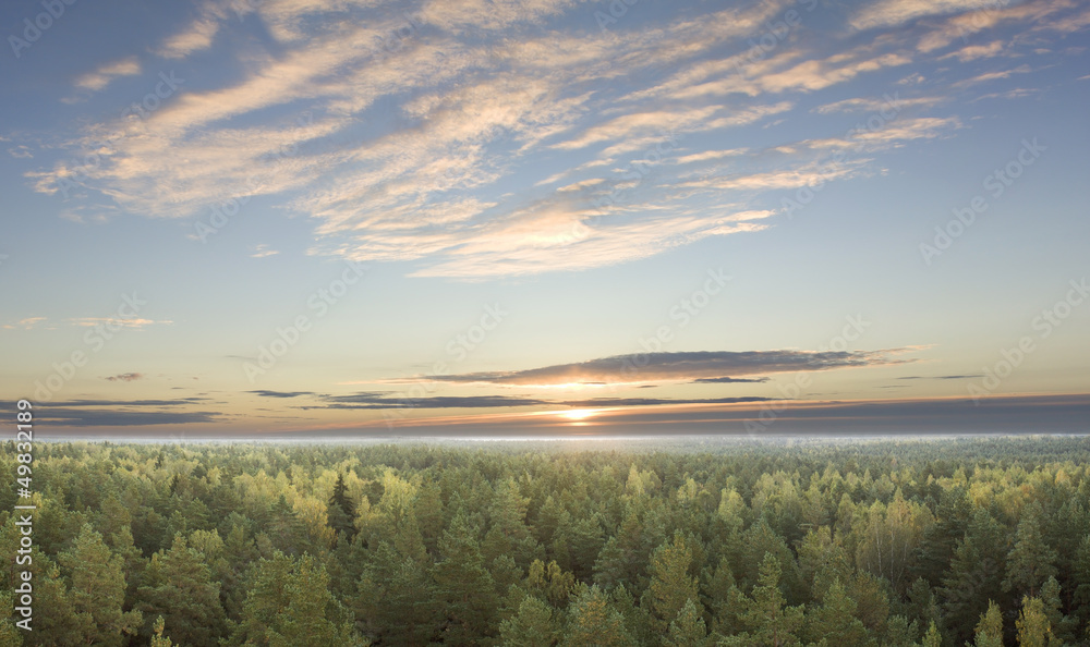 Obraz premium Sunrise over the forest in autumn.