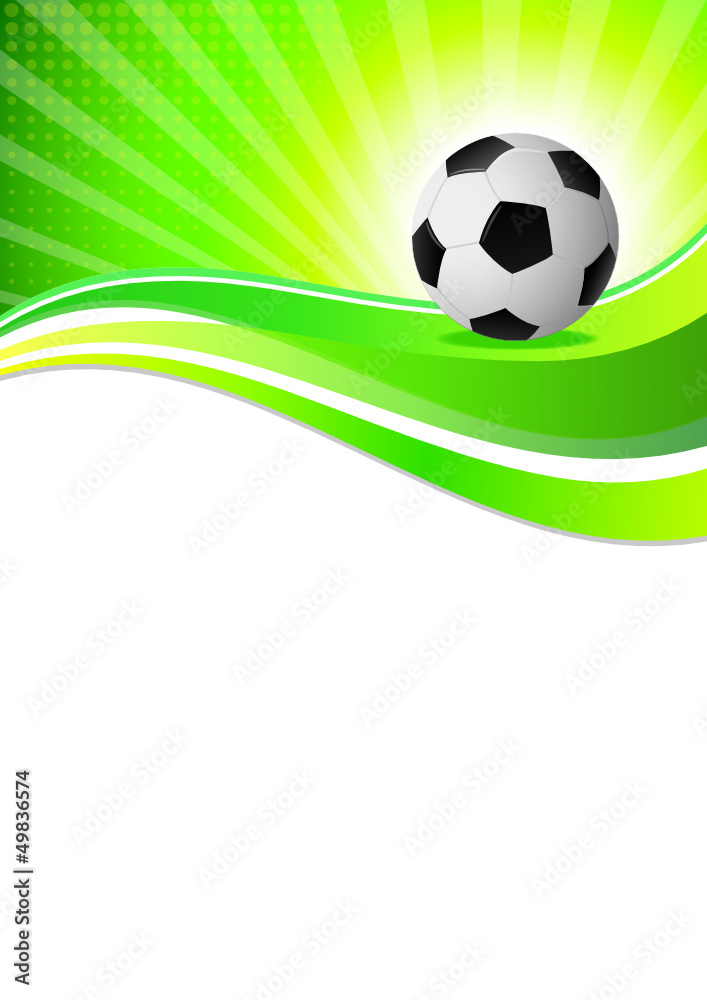 Fototapeta premium Fussball - Soccer - 114