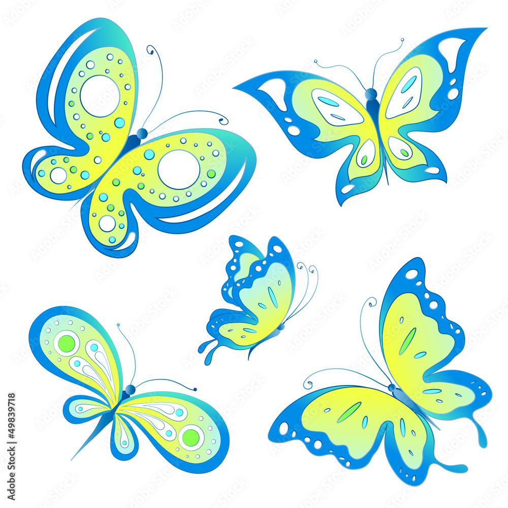 butterfly,butterflies vector butterfly,butterflies vector