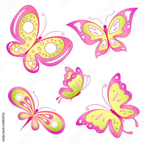 butterfly butterflies vector