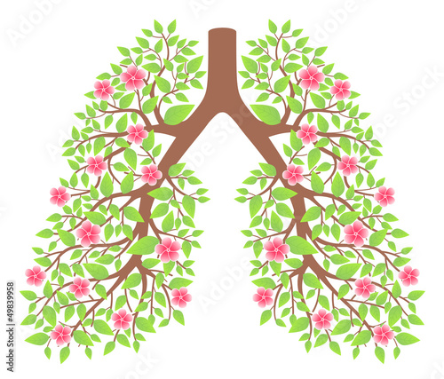 lungs healthy