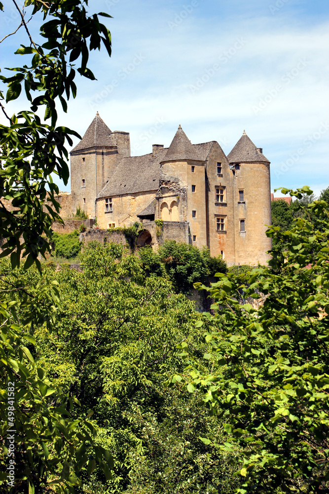 Château de Salignac-Eyvigues. (Dordogne)