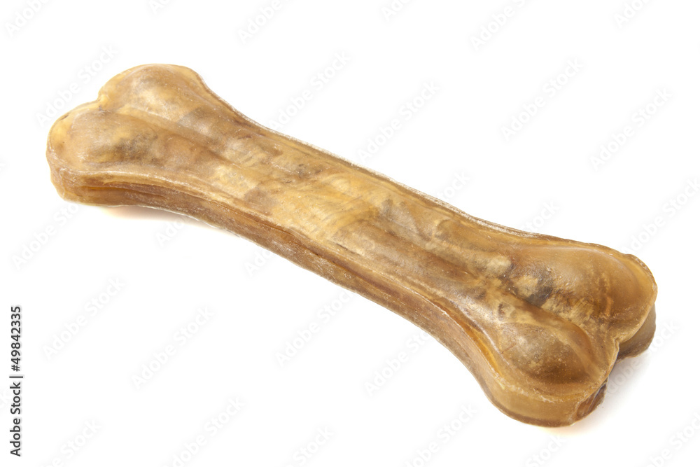 Bone for the dog Bone for the dog