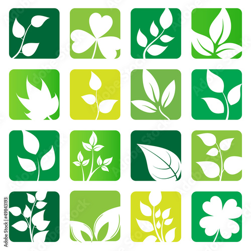 collection of vector leaves icons