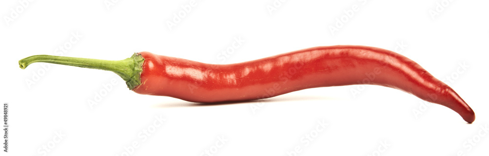 Hot red chili or chilli pepper isolated on white background cuto