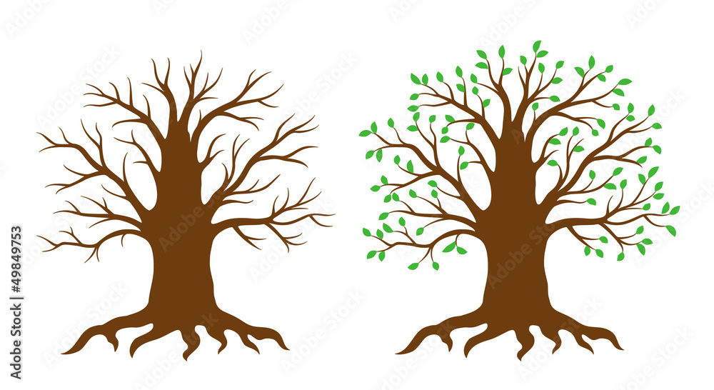 Vector tree Vector tree
