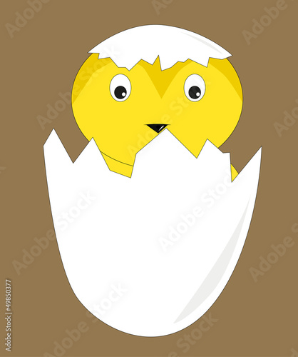 chick in egg