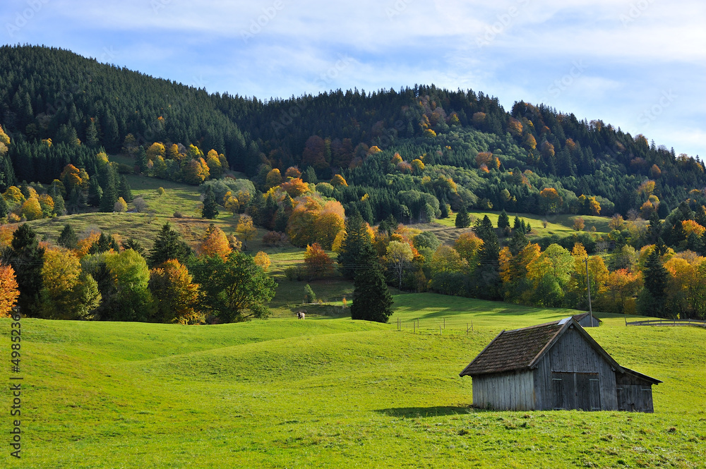 Fototapeta premium Allgäuer Idylle