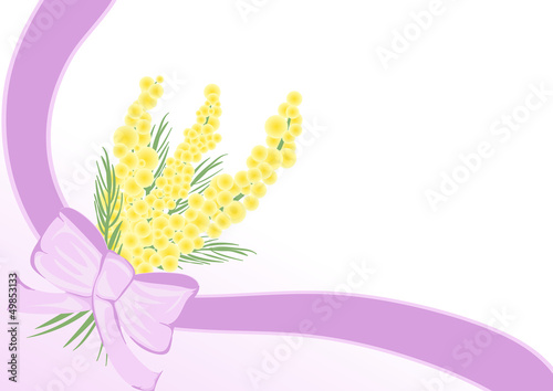 sfondo mimose fiocco