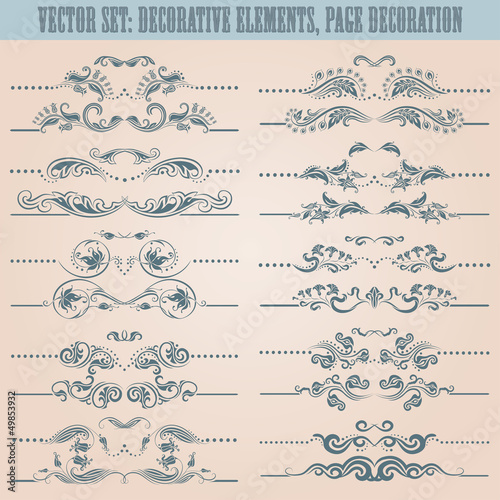 Vector set: floral decorative elements