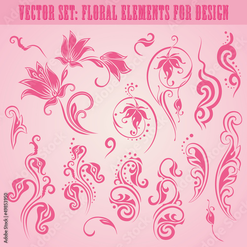 Vector set of floral elements