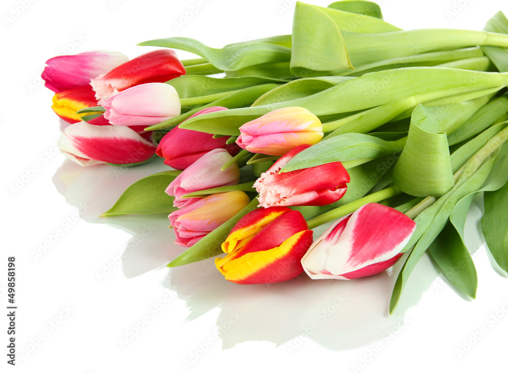 Beautiful tulips in bucket isolated on white Beautiful tulips in bucket isolated on white