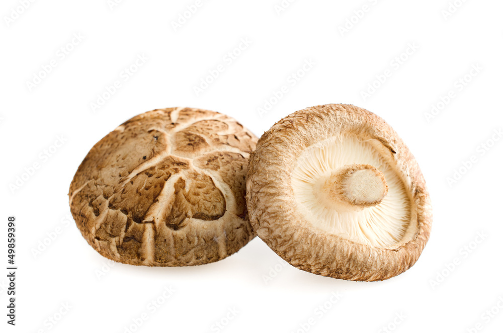 Shiitake mushrooms on white Shiitake mushrooms on white
