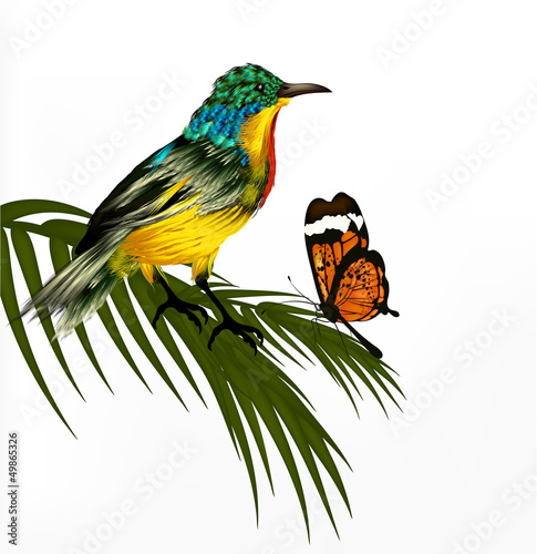 Cute background with vector realistic detailed  tropical bird an