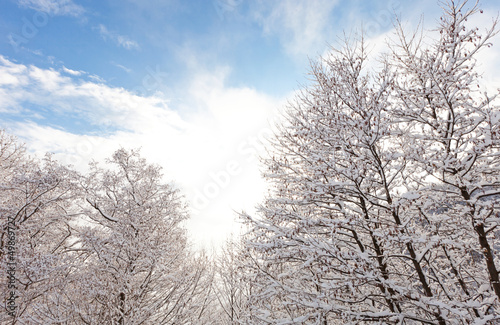 Wallpaper Mural winter in south switzerland Torontodigital.ca