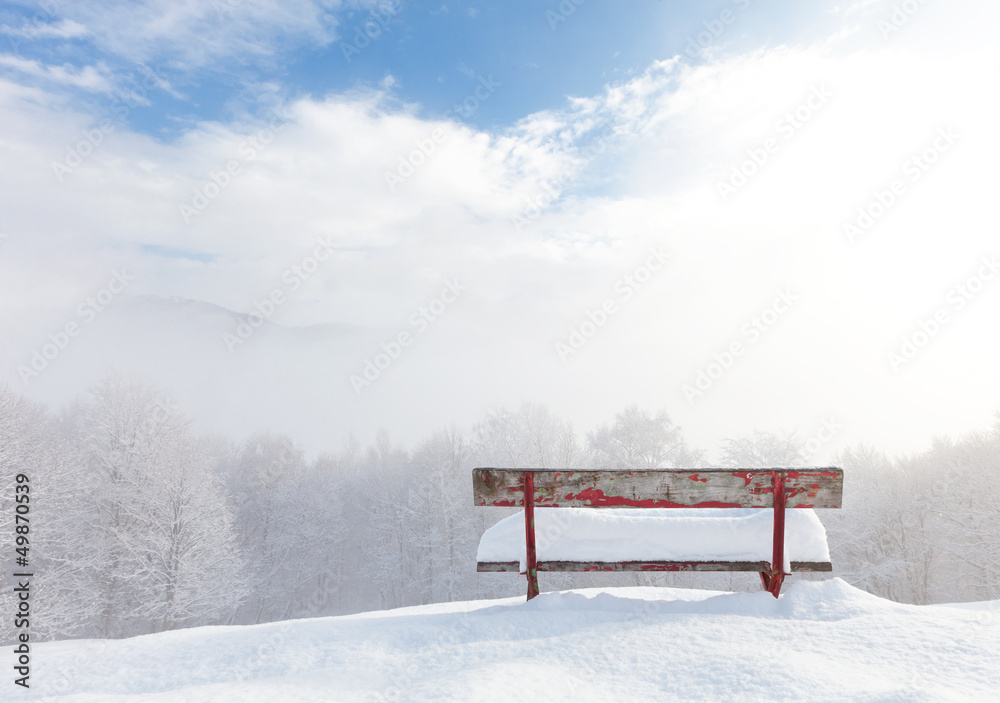 bench in front of winter landscape