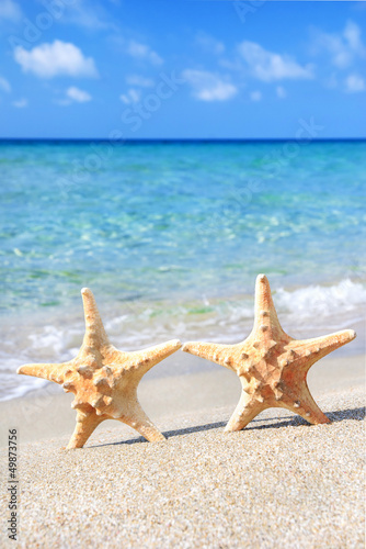 holiday concept - two sea-stars walking on sand beach against wa