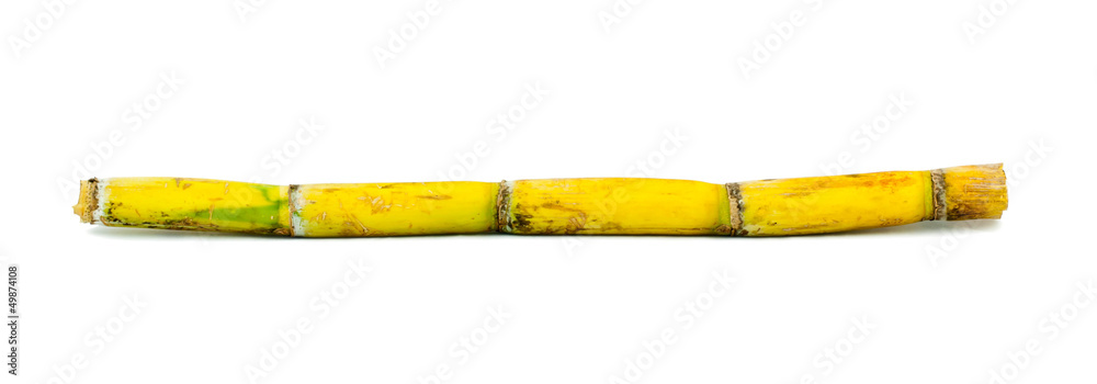 Fototapeta premium Sugar cane over white background