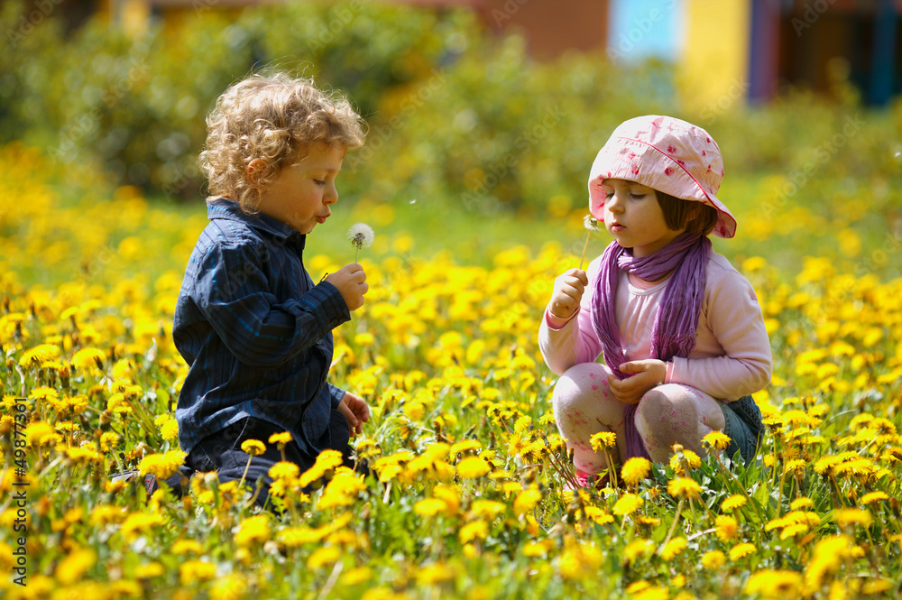 boy and girl in summer flowers field boy and girl in summer flowers field