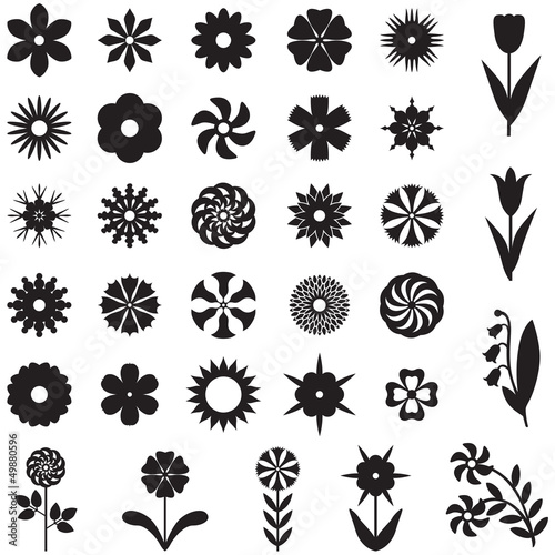 Fototapeta Naklejka Na Ścianę i Meble -  Set flower silhouette
