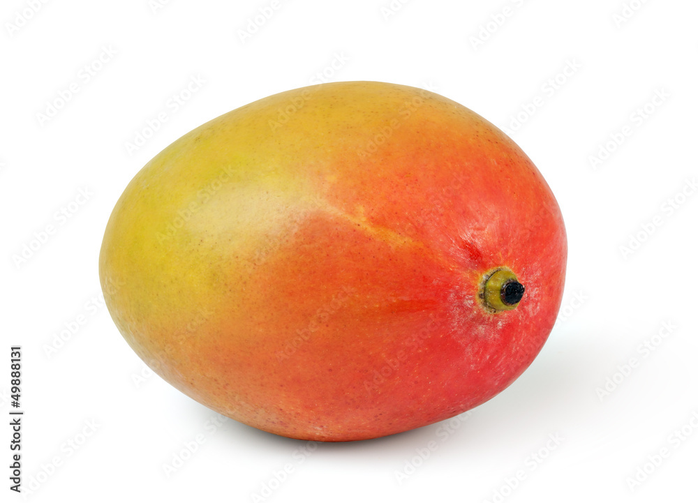 mango mango