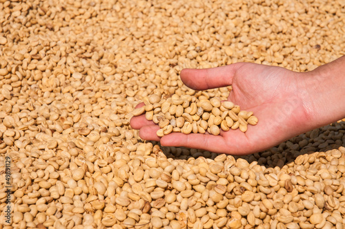 Farmer drying coffee beans in the sun © yotrakbutda