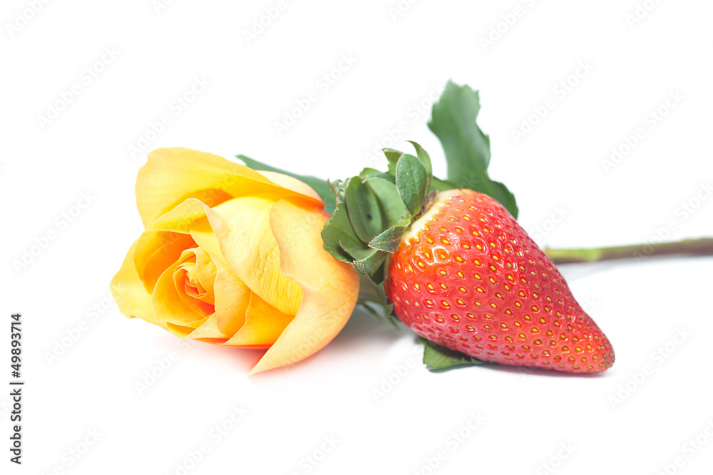 beautiful orange rose and strawberry isolated on white beautiful orange rose and strawberry isolated on white