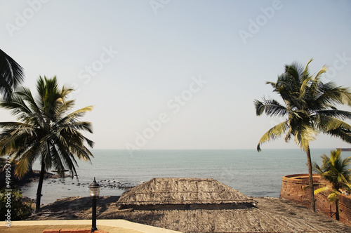 Photography Palm trees on the beach, Goa, India