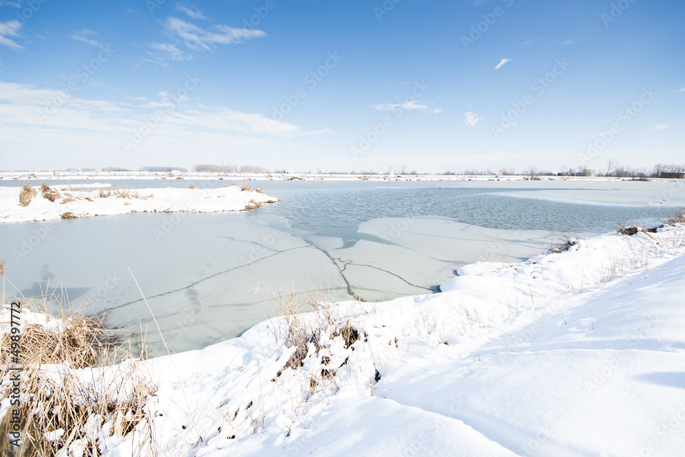 winter landscape